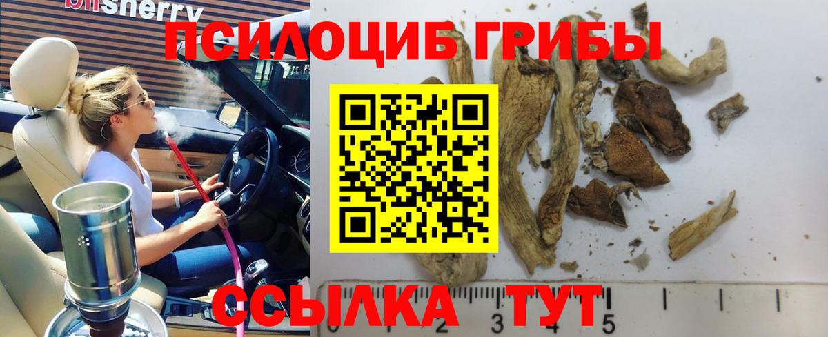 Жигулёвск  Псилоцибиновые грибы мухоморы  что такое наркотик  Галлюциногенные грибы прущие грибы  Вход с VPN 